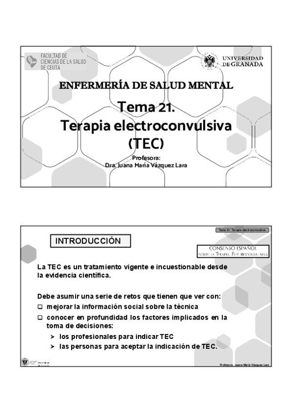 Miniatura del documento TEMA-21-SALUD-MENTAL.pdf