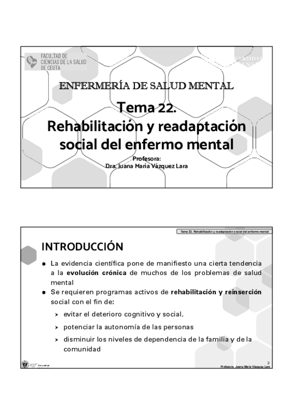 Miniatura del documento TEMA-22-SALUD-MENTAL.pdf