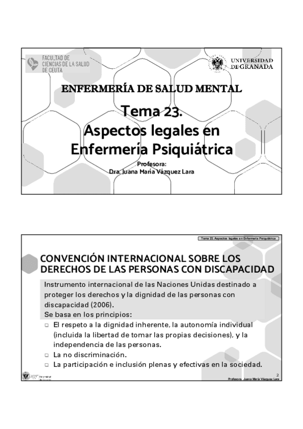 Miniatura del documento TEMA-23-SALUD-MENTAL.pdf