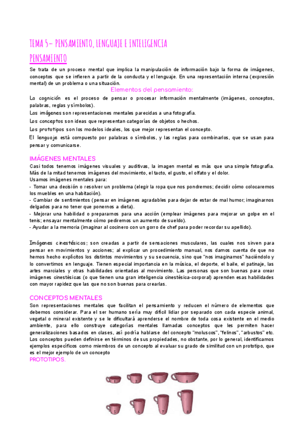 Miniatura del documento 5.-PENSAMIENTO-LENGUAJE-E-INTELIGENCIA.pdf