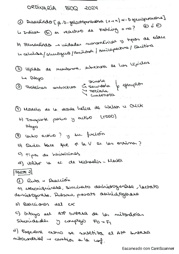 Miniatura del documento ORDINARIA-BIOQ-2024.pdf