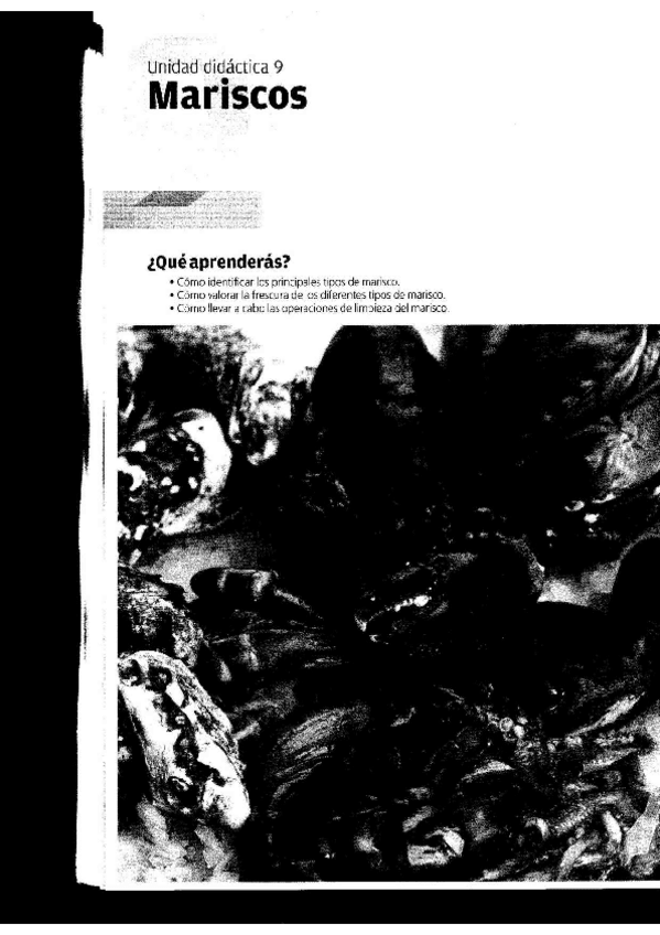 Miniatura del documento TEMA-9-PREELABORACION.pdf