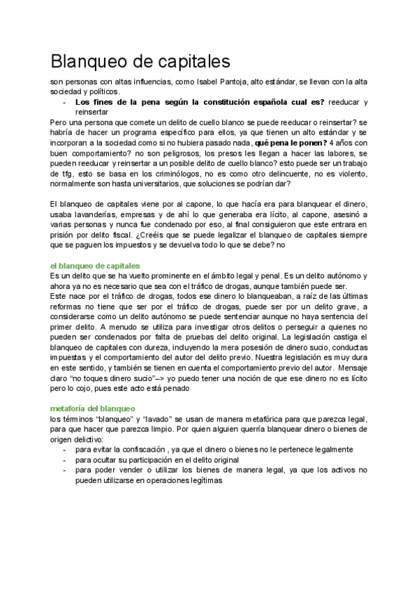 Miniatura del documento t10.-blanqueo-de-capitales.pdf