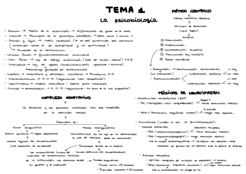 Miniatura del documento Esquemas-Psicobiologia-Parte-1.pdf