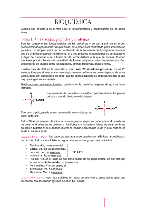 Miniatura del documento BIOQUIMICA-apuntes.pdf
