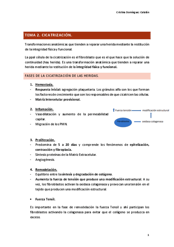 Miniatura del documento A.-Quirurgicas.-Tema-2..pdf