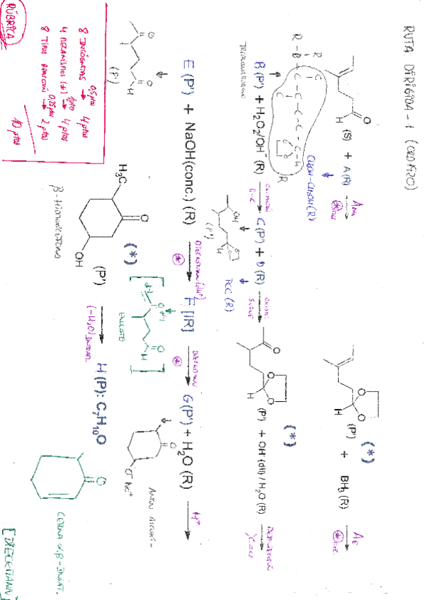 Miniatura del documento Rutas dirigidas de exámenes + corrección.pdf