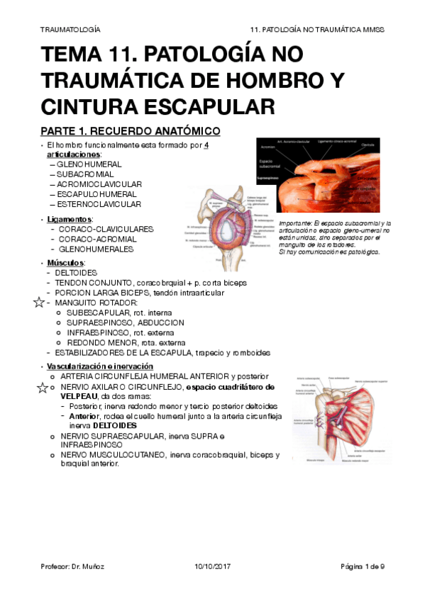 Miniatura del documento TRAUMA T11.pdf