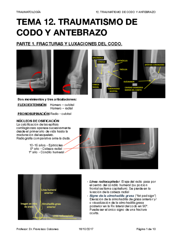 Miniatura del documento TRAUMA T12.pdf