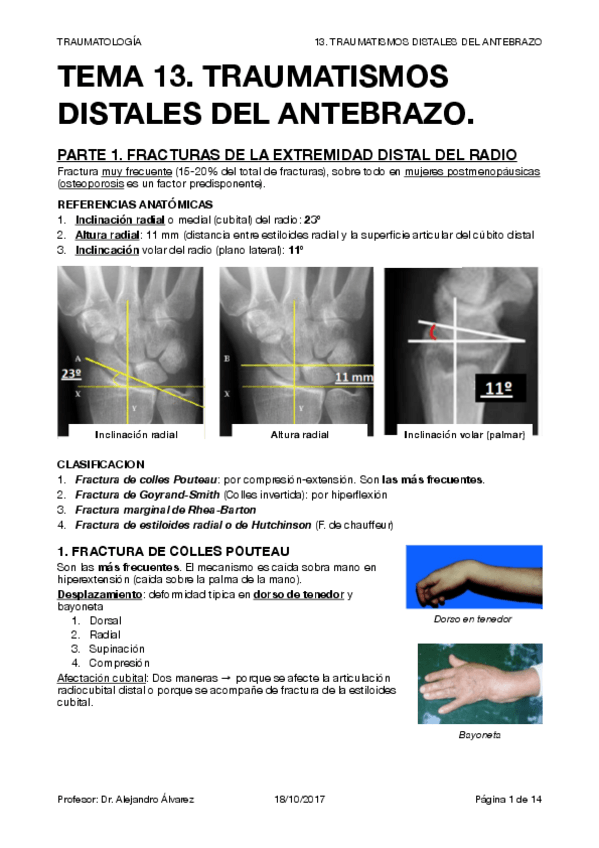 Miniatura del documento TRAUMA T13.pdf