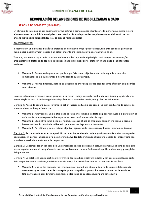 Miniatura del documento RECOPILACION-SESIONES-JUDO.pdf