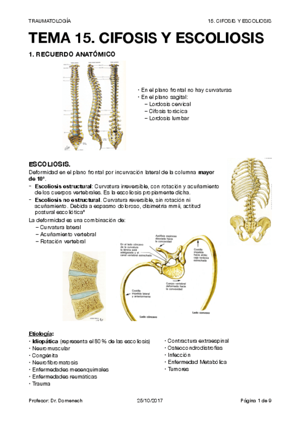 Miniatura del documento TRAUMA T15.pdf