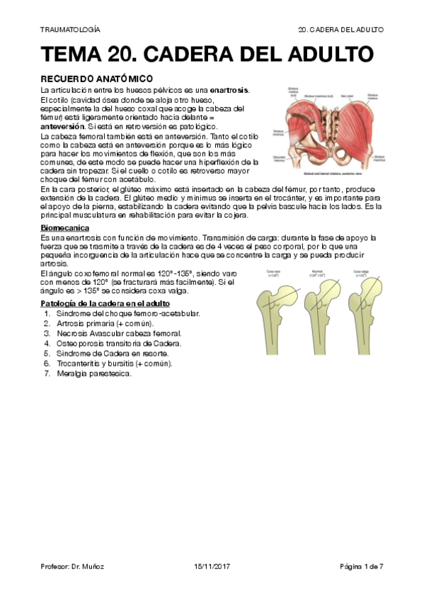 Miniatura del documento TRAUMA T20.pdf