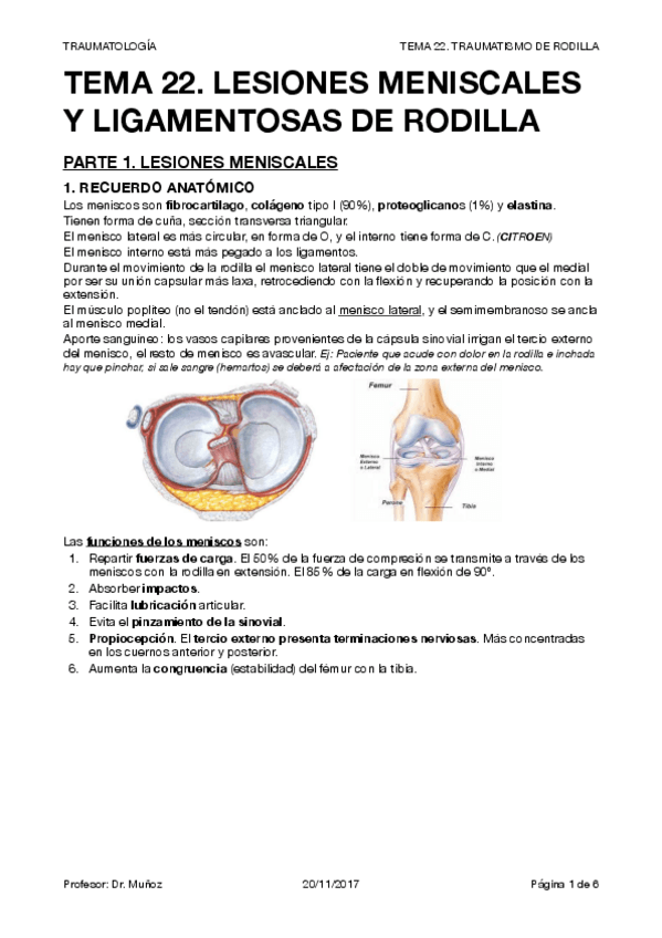 Miniatura del documento TRAUMA T22.pdf