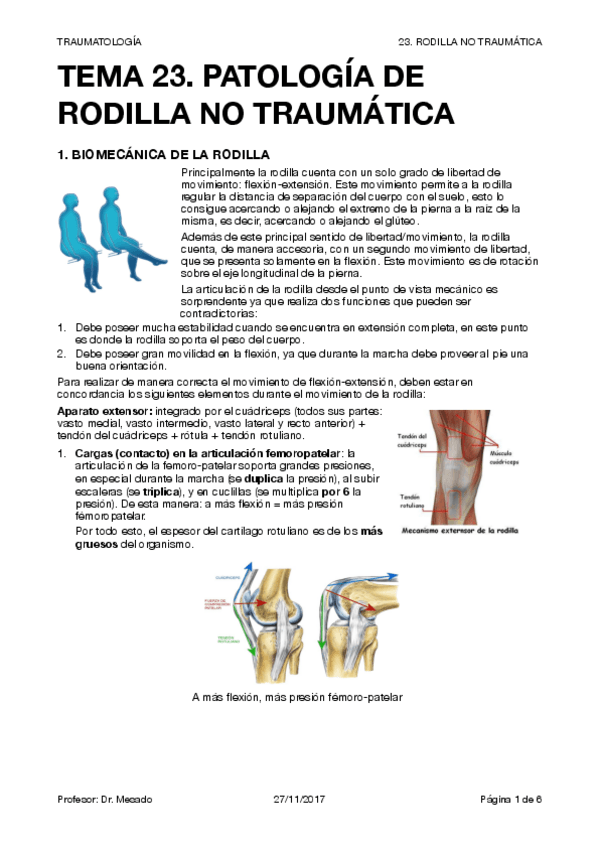 Miniatura del documento TRAUMA T23.pdf