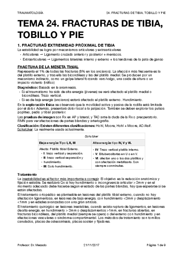 Miniatura del documento TRAUMA T24.pdf
