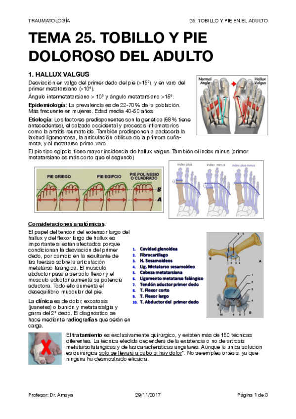 Miniatura del documento TRAUMA T25.pdf