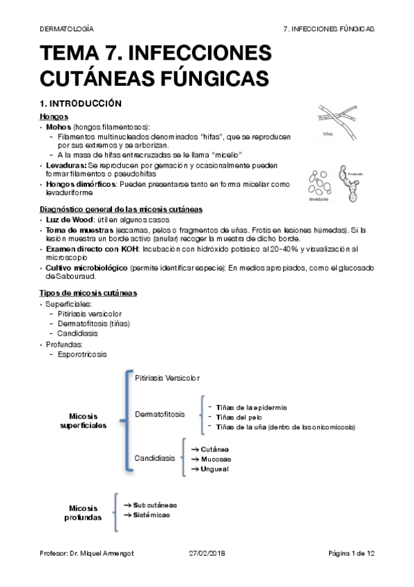 Miniatura del documento DERMA T7.pdf