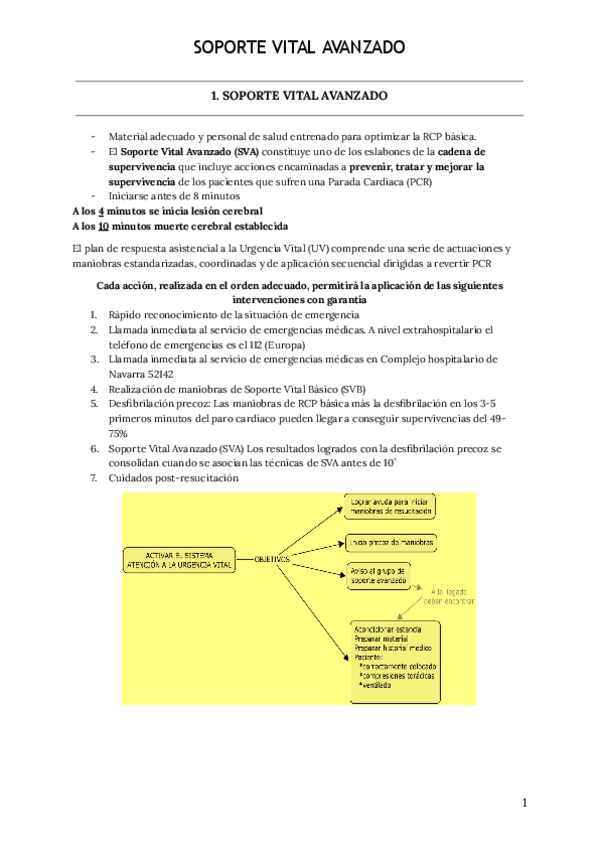 Miniatura del documento Soporte-Vital-Avanzado.pdf