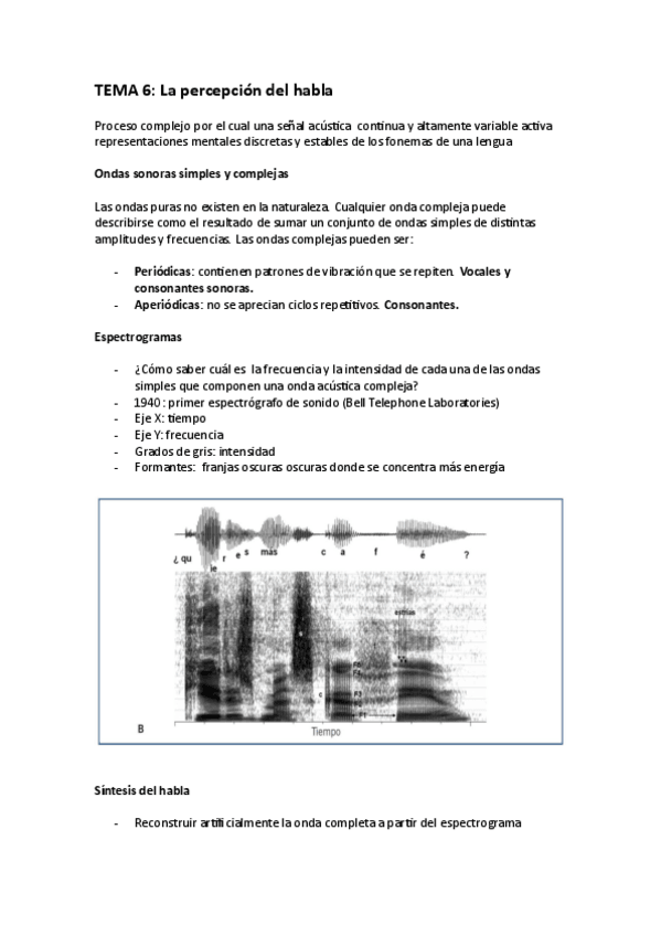 Miniatura del documento PERCEPCION-DEL-HABLA-T6.pdf