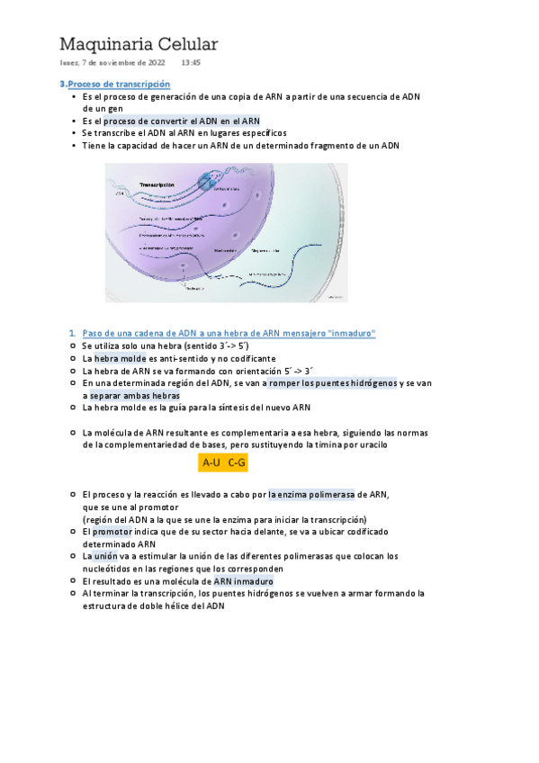 Miniatura del documento Biologia-del-Comportamiento-Tema-3.2.pdf