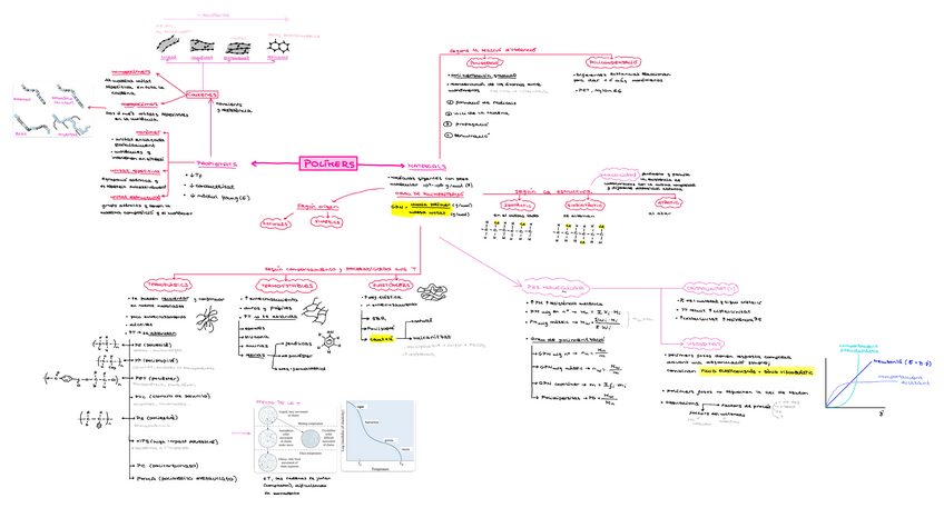 Miniatura del documento T12-POLIMERS.pdf