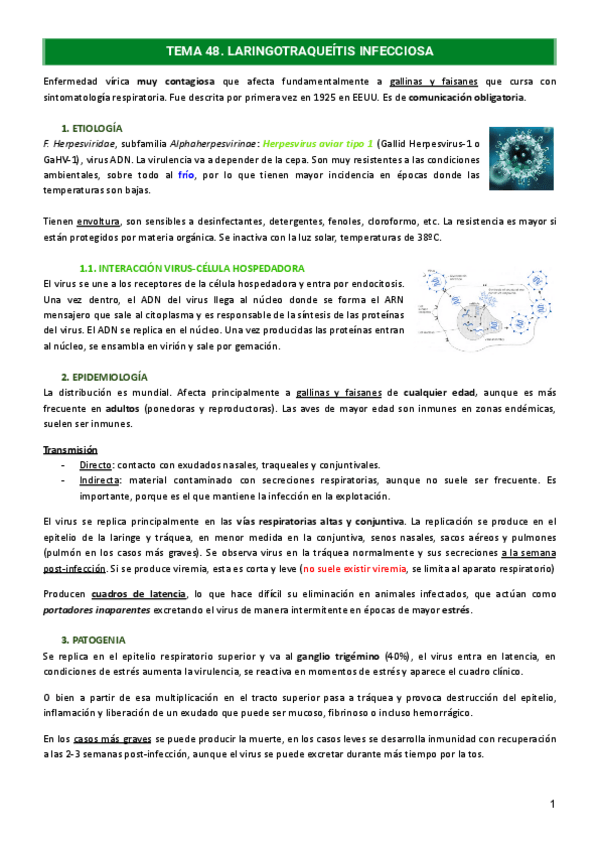 Miniatura del documento Tema-48.-Laringotraqueitis-infecciosa.pdf