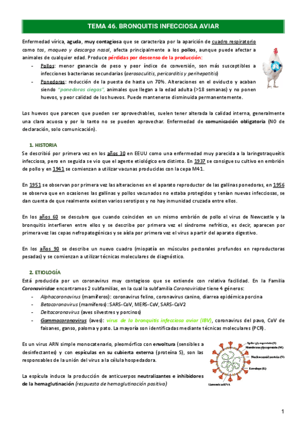 Miniatura del documento Tema-46.-Bronquitis-infecciosa-aviar.pdf
