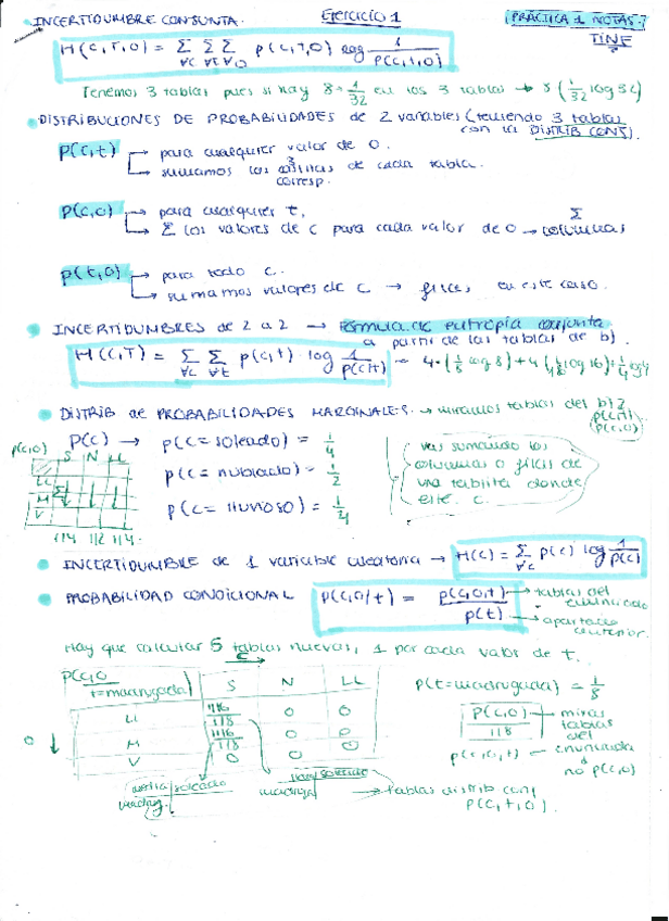Miniatura del documento ENTREGA-1.pdf