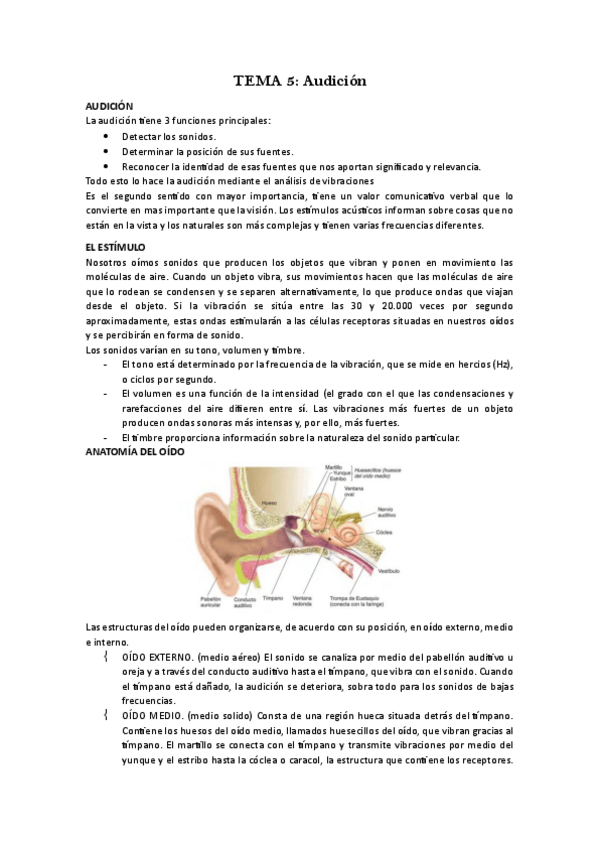 Miniatura del documento TEMA-5-fisio.pdf