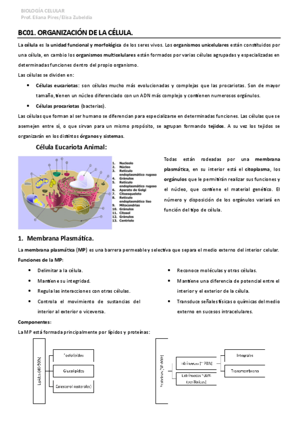 Miniatura del documento Apuntes-Biologia-Celular.pdf
