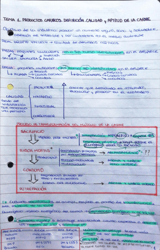 Miniatura del documento 2-parcial-carnes.pdf