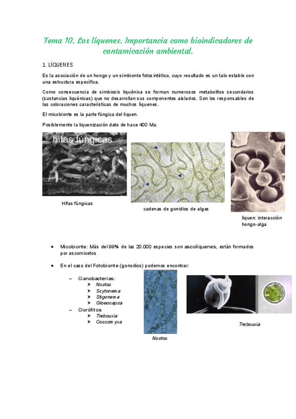 Miniatura del documento T10-BOT.pdf