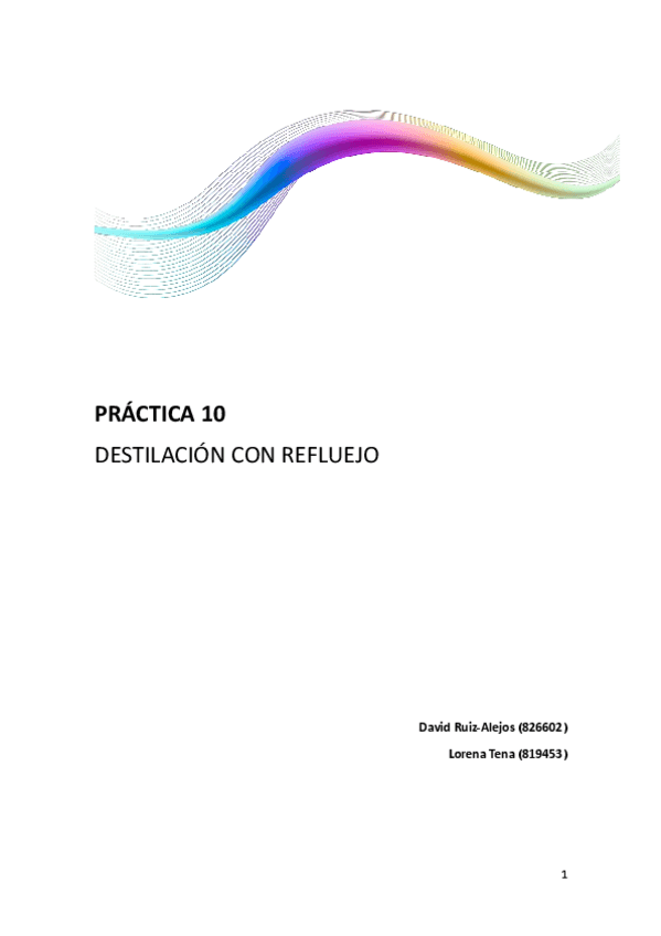 Miniatura del documento p10.pdf