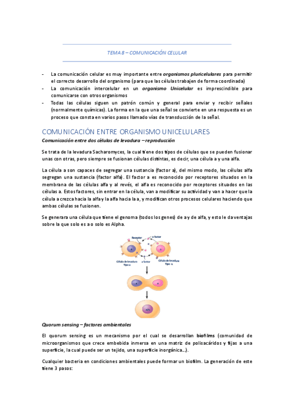 Miniatura del documento comunicacion-celular.pdf