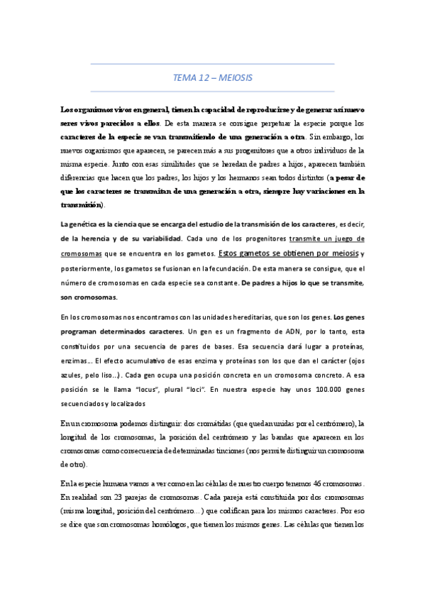 Miniatura del documento meiosis.pdf