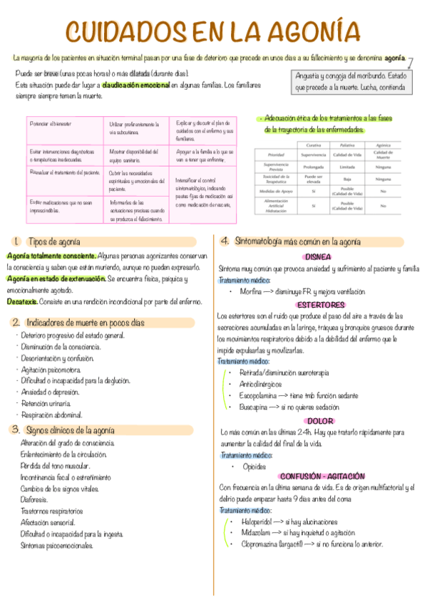 Miniatura del documento agonia--exitus.pdf