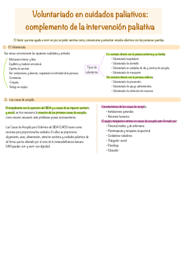 Miniatura del documento sem-2.-voluntariado.pdf