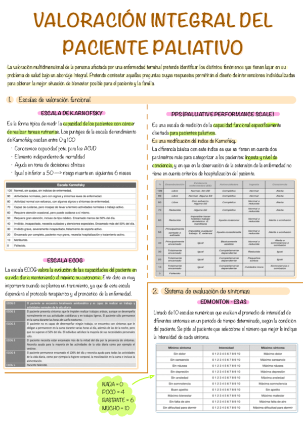 Miniatura del documento valoracion-integral.pdf