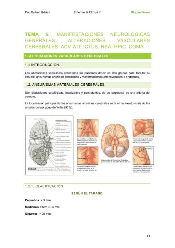 Miniatura del documento bloque-neuro.pdf