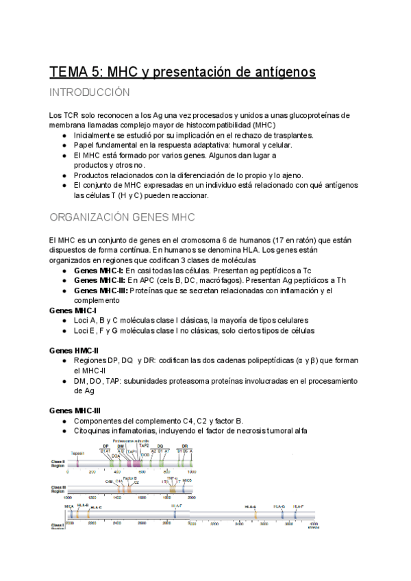 Miniatura del documento TEMA-5-MHC-y-presentacion-de-antigenos.pdf