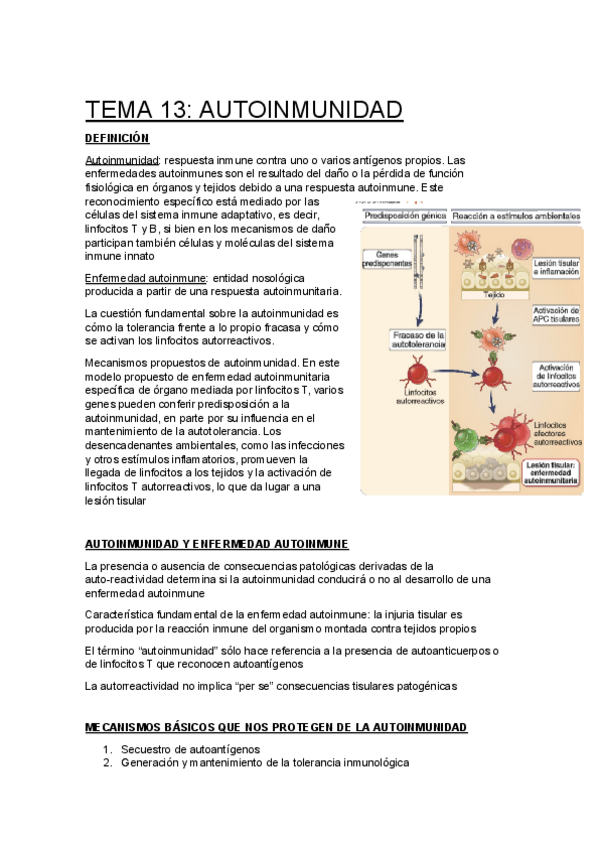 Miniatura del documento UNIDAD-13Autoinmunidad.docx.pdf