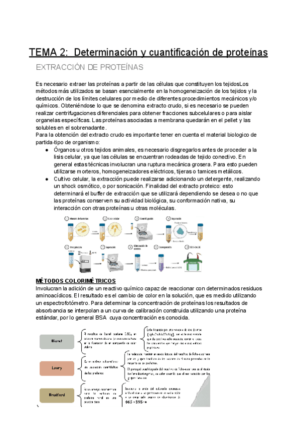 Miniatura del documento TEMA-2-Determinacion-y-cuantificacion-de-proteinas.pdf