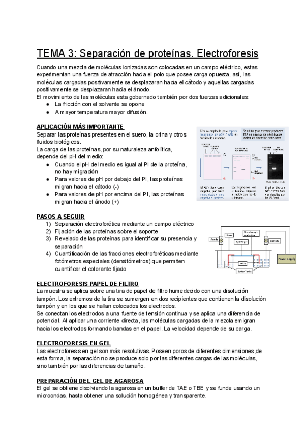 Miniatura del documento TEMA-3-Separacion-de-proteinas.pdf