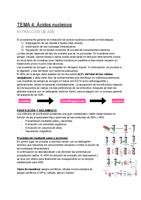 Miniatura del documento TEMA-4-Acidos-nucleicos.pdf
