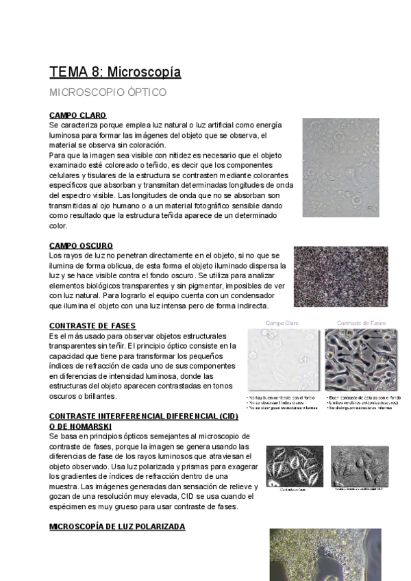 Miniatura del documento TEMA-8-Microscopia.pdf