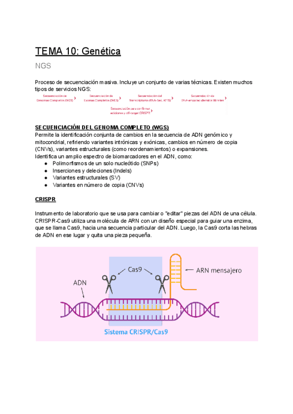 Miniatura del documento TEMA-10-Genetica.pdf