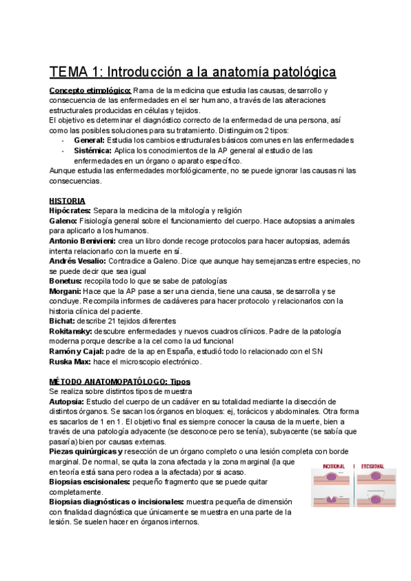 Miniatura del documento TEMA-1-Introduccion-a-la-anatomia-patologica.pdf