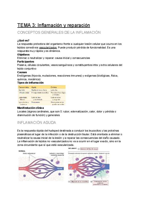 Miniatura del documento TEMA-3-Inflamacion-y-reparacion.pdf