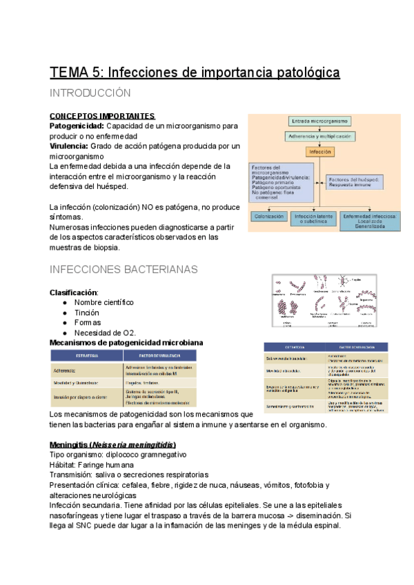 Miniatura del documento TEMA-5-Infecciones-de-importancia-patologica.pdf